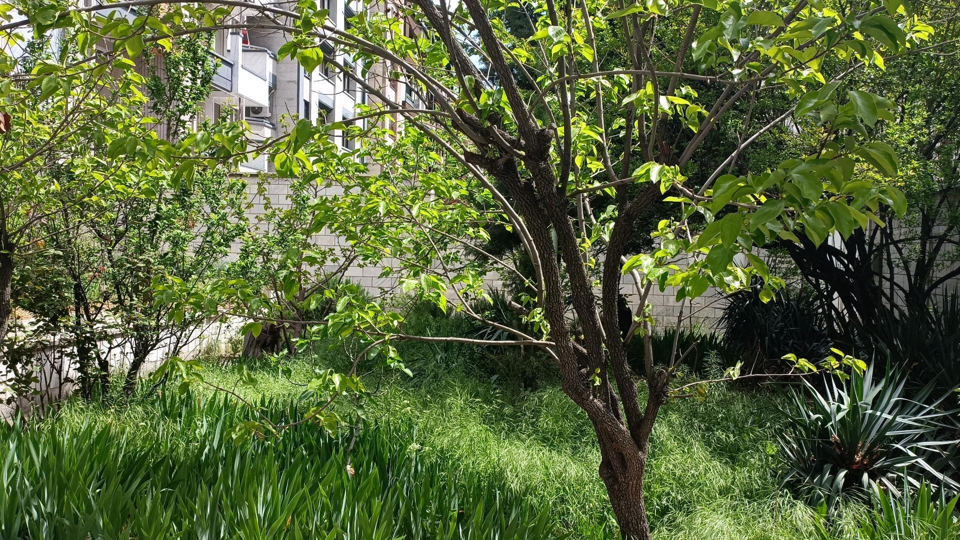  اجاره در تهران 